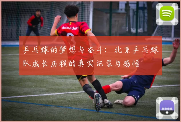 乒乓球的梦想与奋斗：北京乒乓球队成长历程的真实记录与感悟