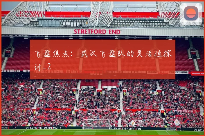 飞盘焦点：武汉飞盘队的灵活性探讨_2