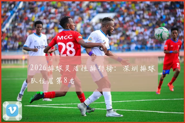 2026排球灵活性排行榜：深圳排球队位居第8名